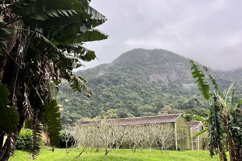 Rasen und Berge im Botanischen Garten von Rio de Janeiro